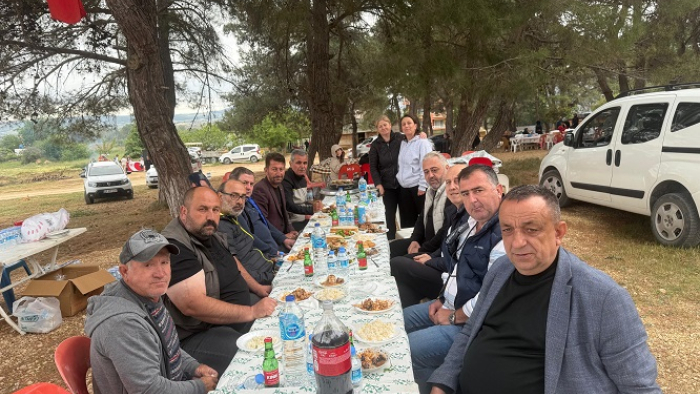 Mecidiye’de dallık eğlencesi yapıldı