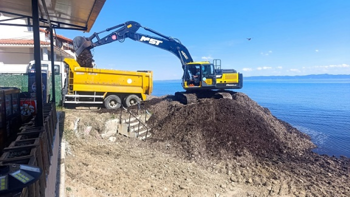 Yayla’da deniz talaşları temizlendi