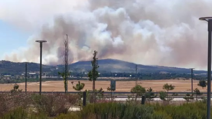 Gelibolu’da tarım arazisindeki yangın ormana sıçradı