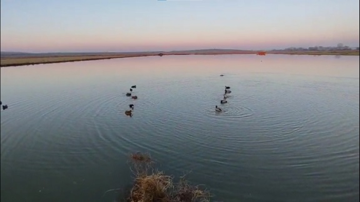 Yasa dışı avlandıkları belirlenen 4 avcıya rekor ceza..!