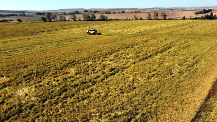 Çeltik ekim müracaatları başladı