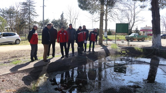 Bakanlık heyetinden, İpsala Su Ürünleri Üretim Tesisi’nde inceleme