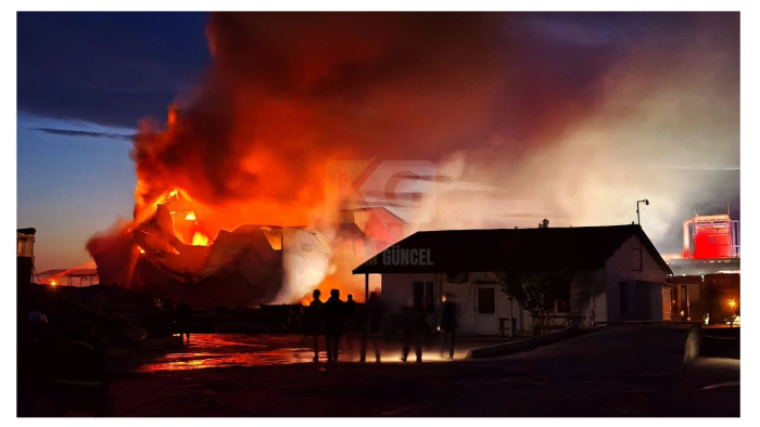 İpsala’da kereste fabrikasında yangın