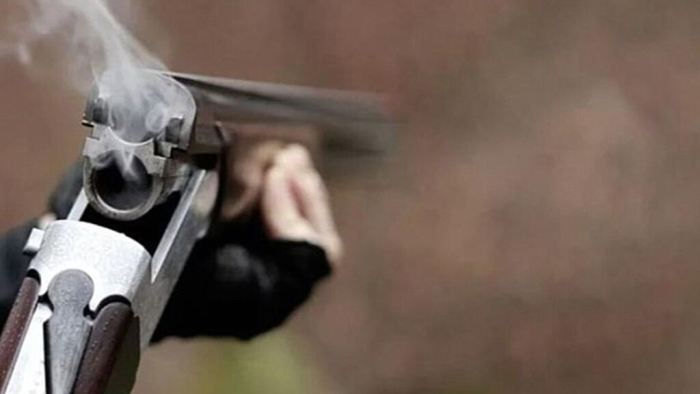 İpsala’da sokakta beslenen kediyi tüfekle öldüren komşuya 5 ay hapis