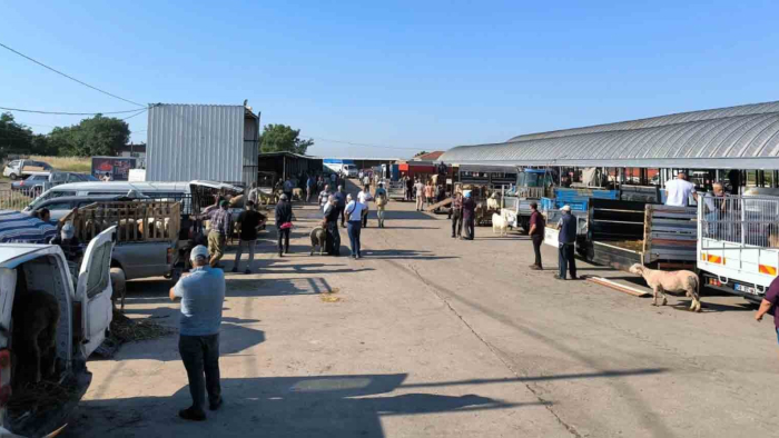 Keşan’da kurban pazarı Cumartesi günü kurulacak
