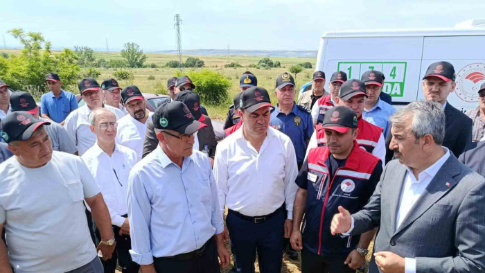 Edirne’deki meralarda yetiştirilen yem bitkileri uygun fiyatlarla üreticilere sunulacak
