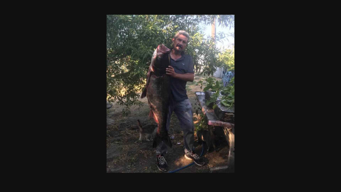 İpsala’da nadir görülen 20 kilo ağırlığında som balığı yakaladı