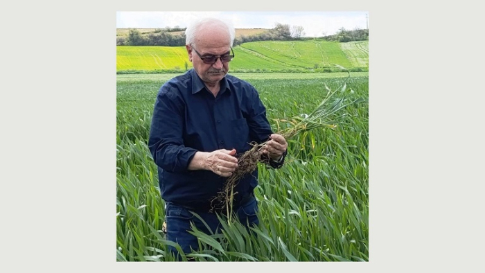 Keşan’da hububat ekilişlerinde ‘kök çürüklüğü’ hastalığı görüldü